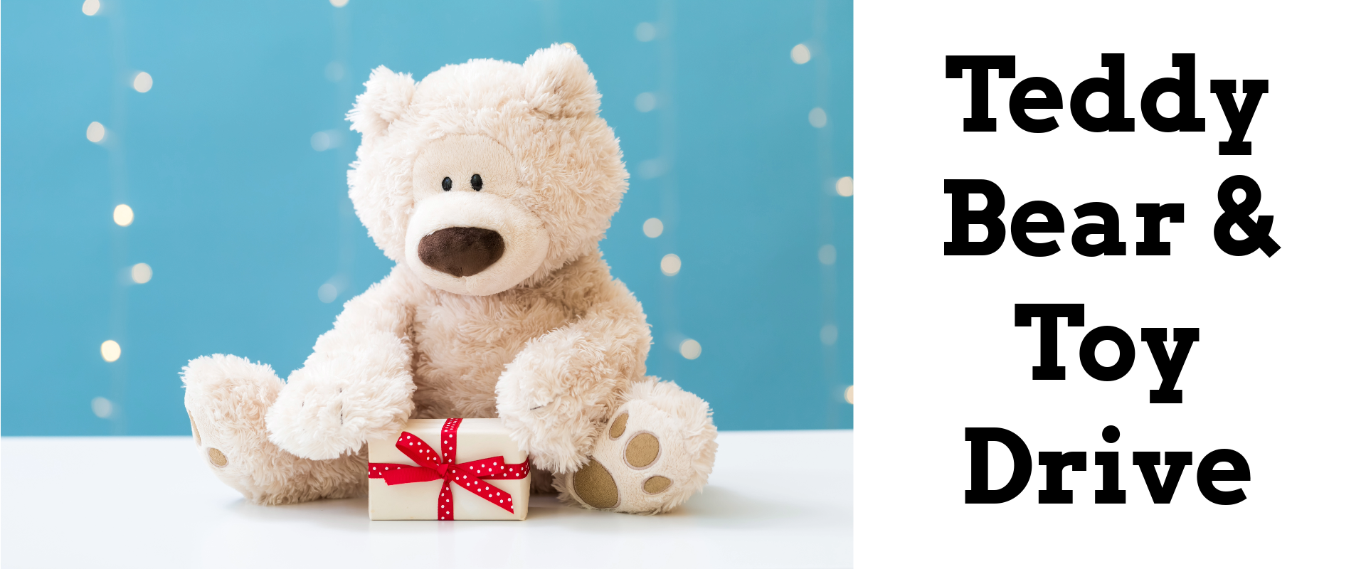 Teddy and Toy Drive